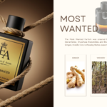 Most Wanted 4
