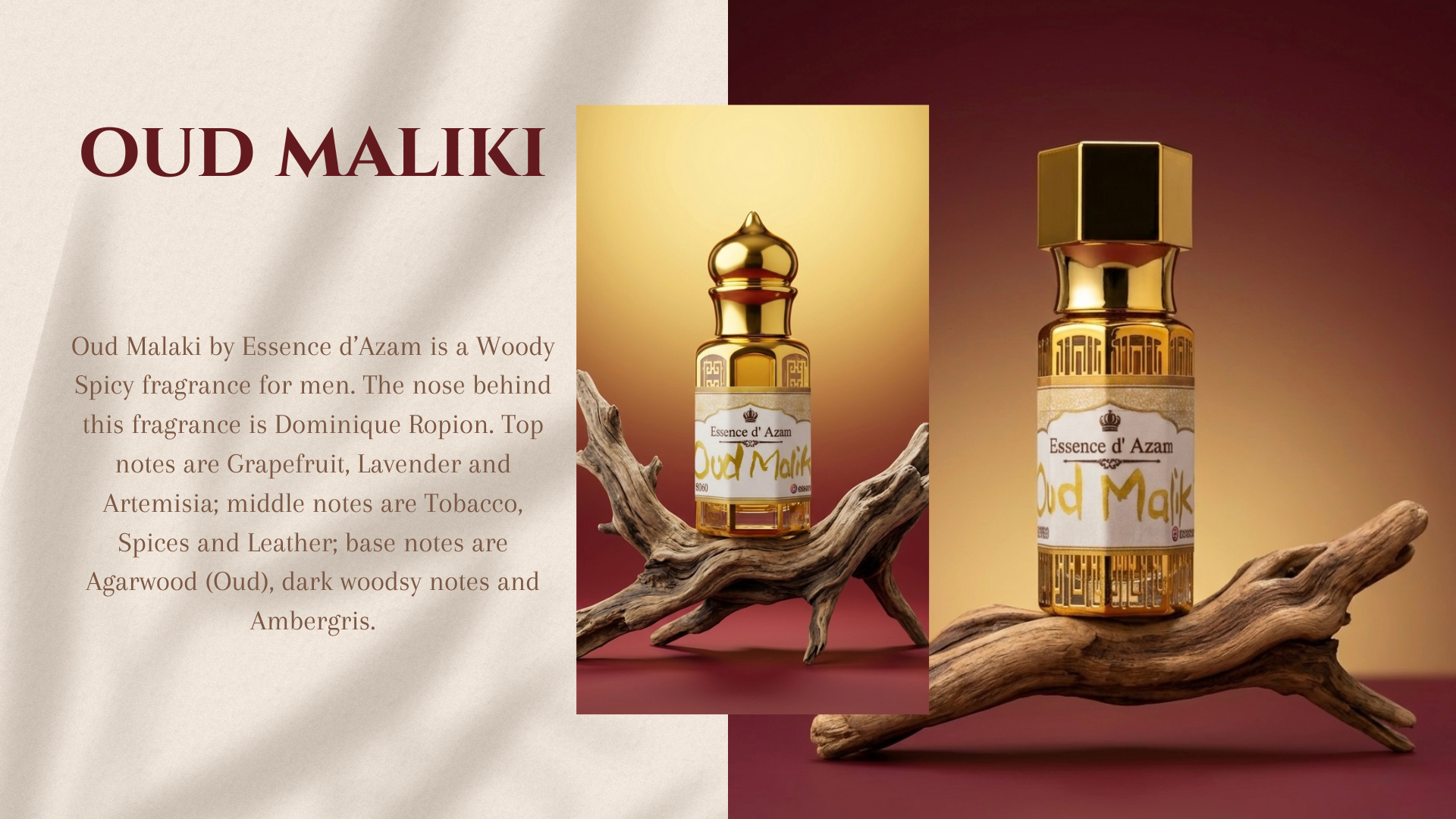 Oud Maliki (combo) - Image 2