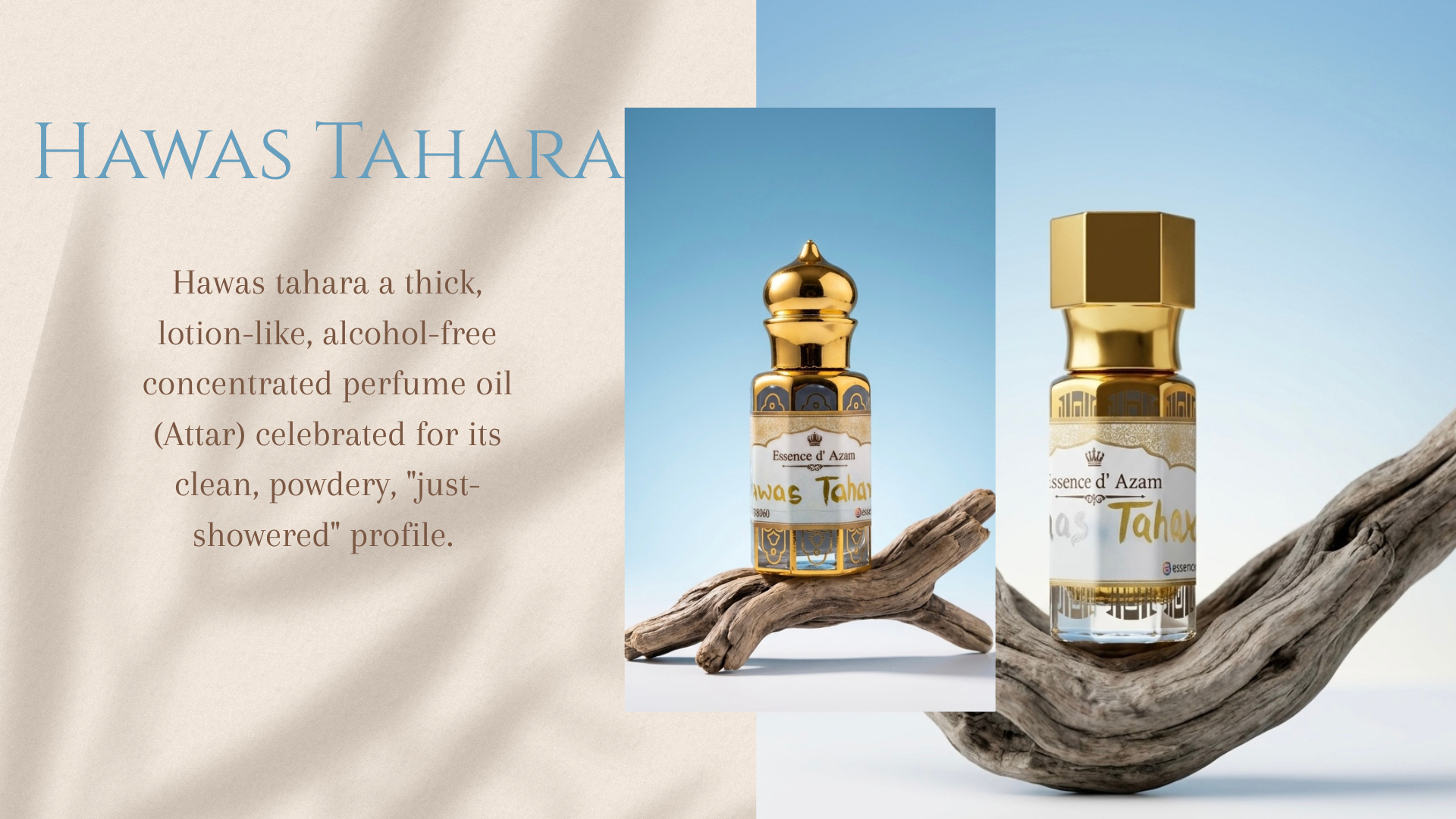 Hawas Tahara - Image 3