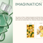 Imagination 2