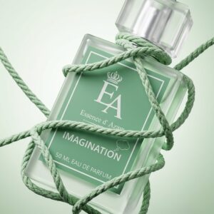 Imagination