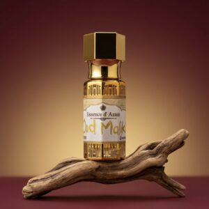 Oud Maliki (combo)