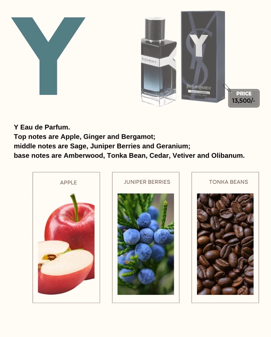 Y - Image 5